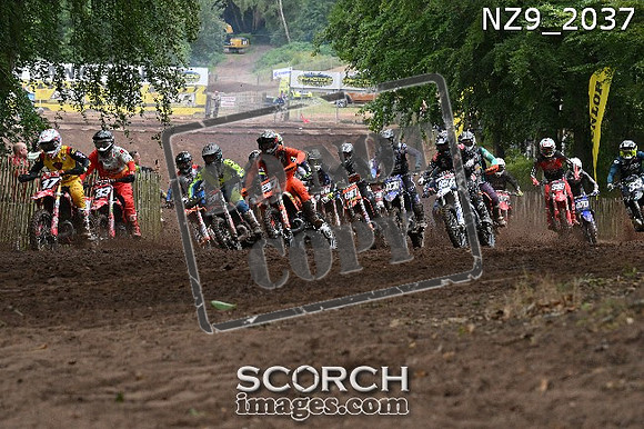 NZ9_2037