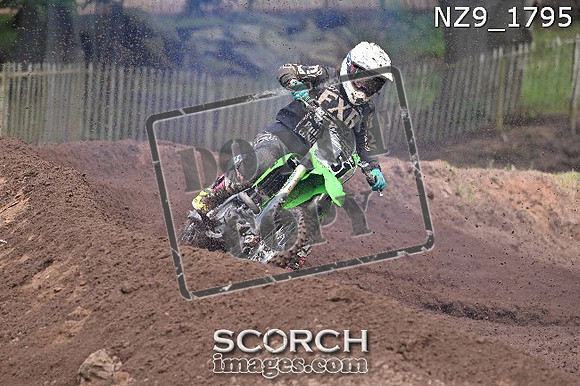 NZ9_1795
