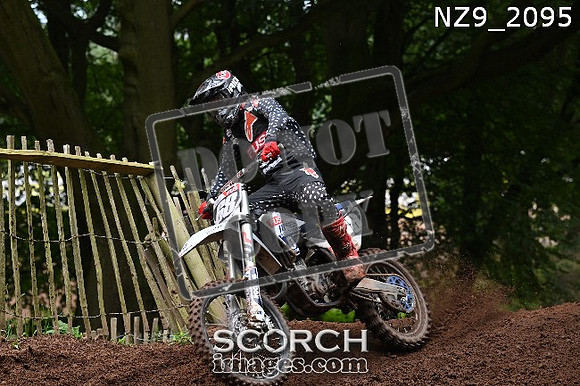 NZ9_2095