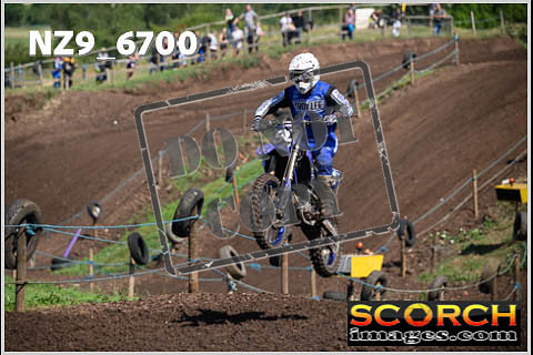Experts-146