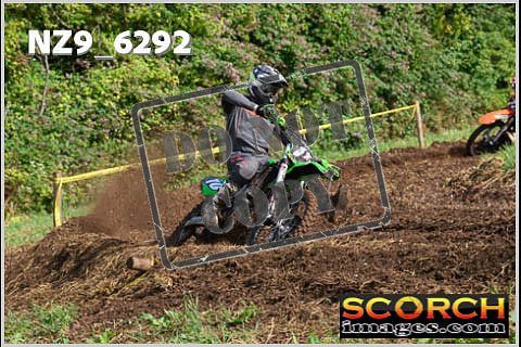 Experts-106