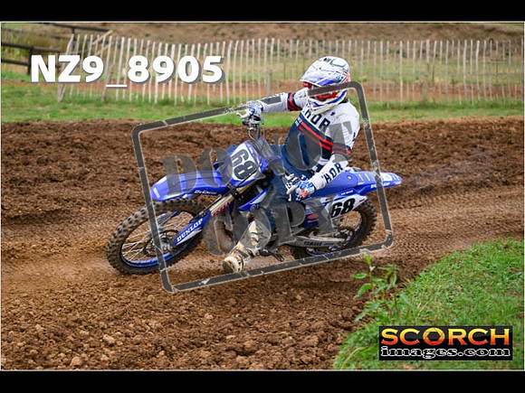 Experts-124