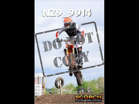 Experts-069