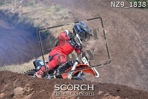 NZ9_1838