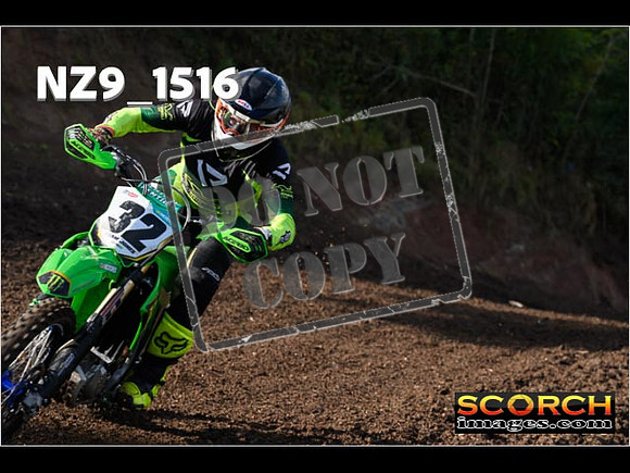 Experts-206