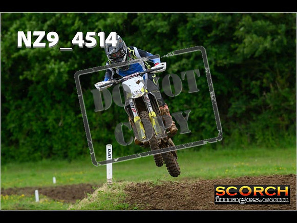 Experts-231