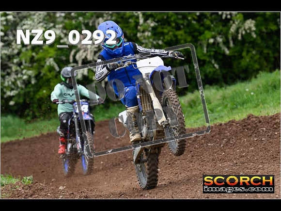 IntersGreen-239