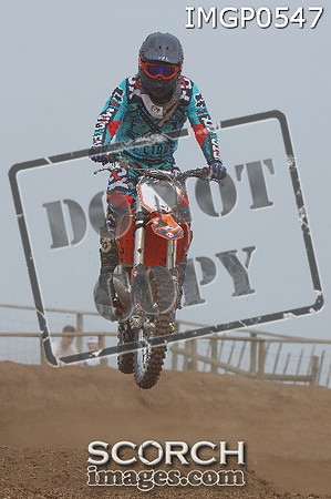 IMGP0547