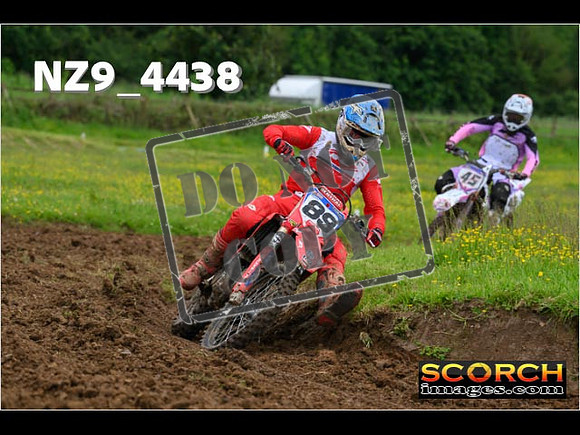 Experts-157