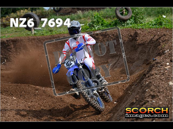 Experts-074