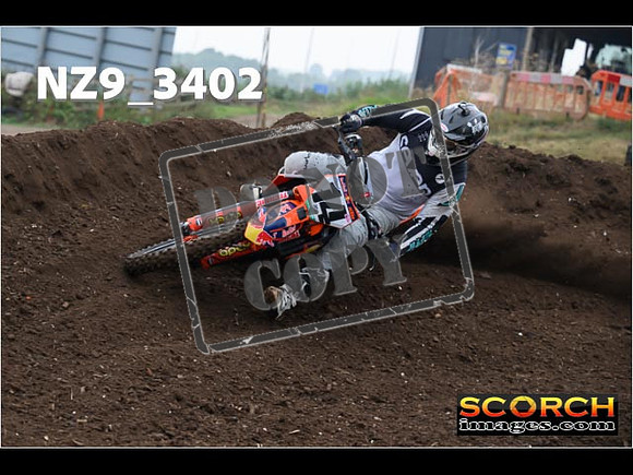 Experts-061