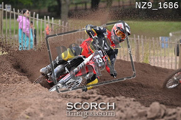NZ9_1686