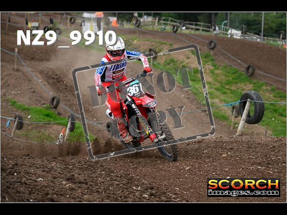 Experts-133
