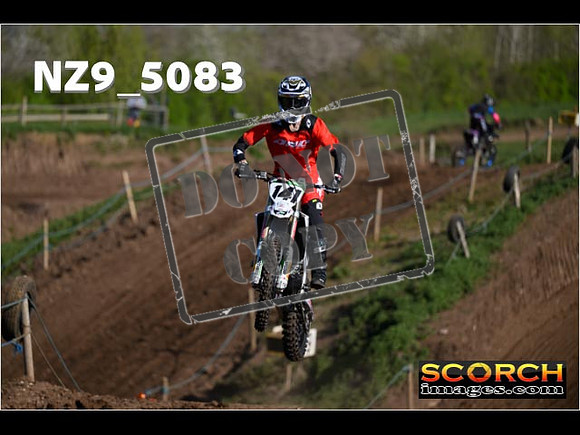 Experts-008