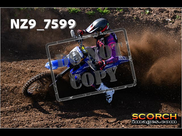 Experts-033