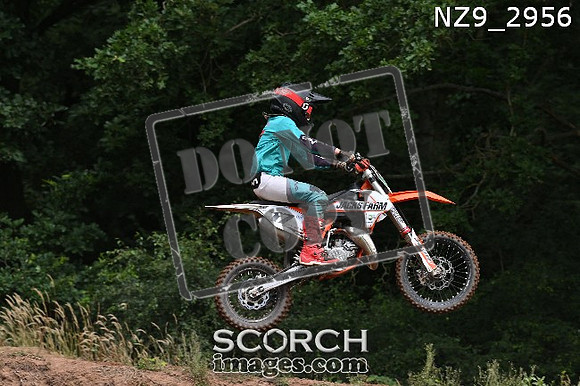 NZ9_2956