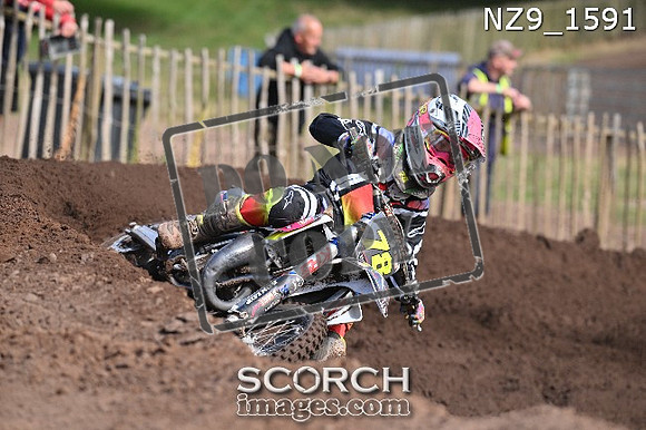 NZ9_1591