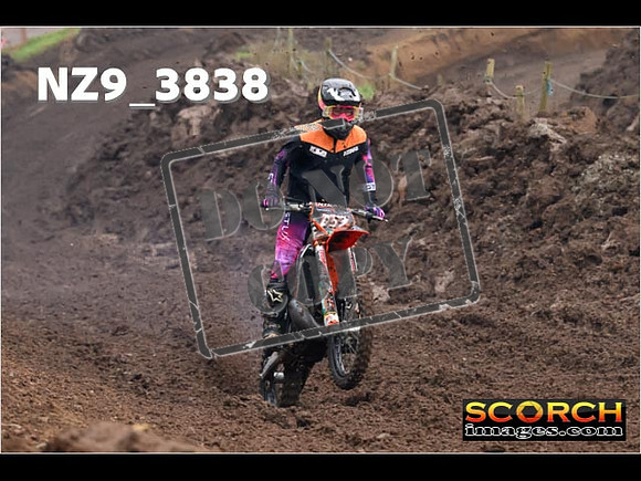 Experts-034