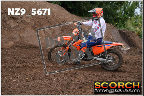 Orange Group-143