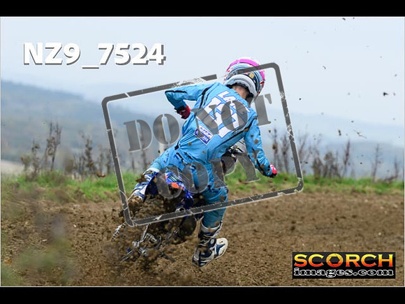 Experts-071