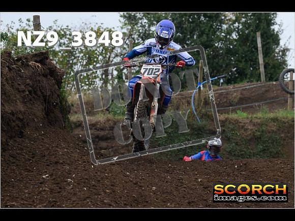 Experts-119