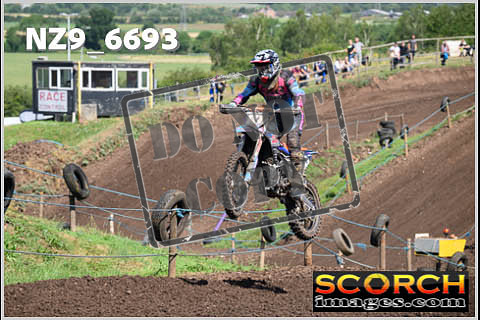 Experts-139