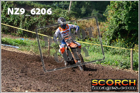 Experts-028