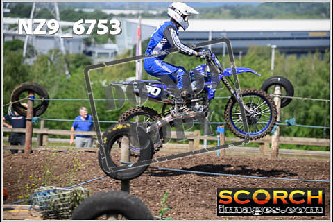 Experts-196