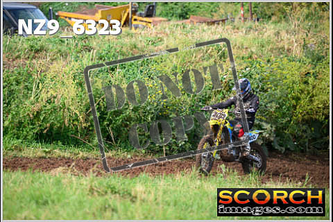 Experts-136