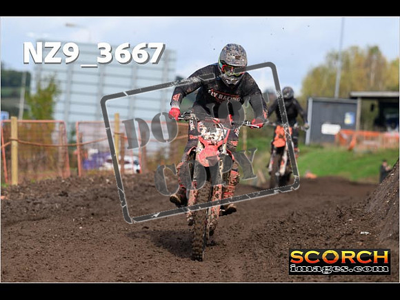 Inters-446