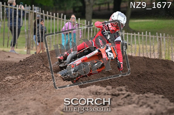 NZ9_1677