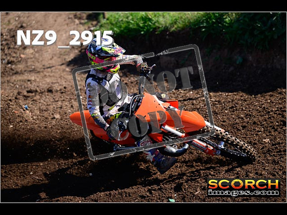 Experts-087