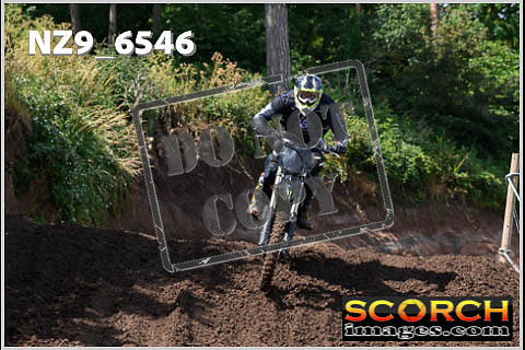 Inters Green Orange-079
