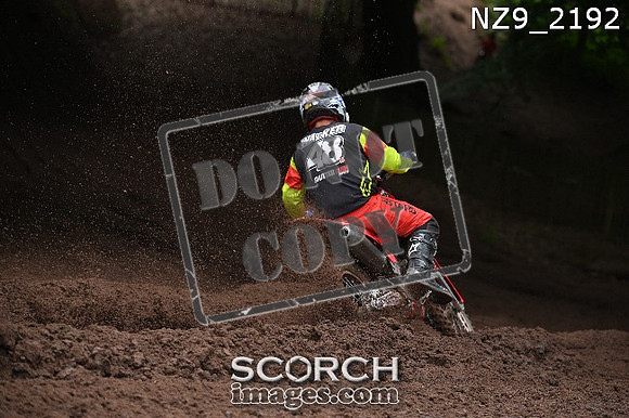 NZ9_2192