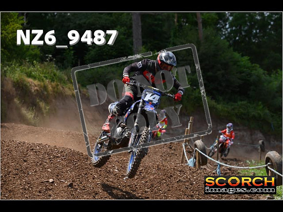 Experts-251