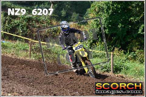 Experts-029