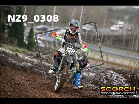 IntersGreenOrange-024