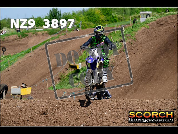 InterGreen-181