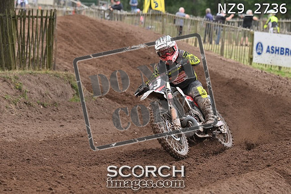 NZ9_2736
