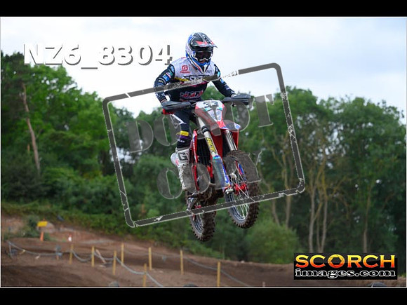 Experts-062