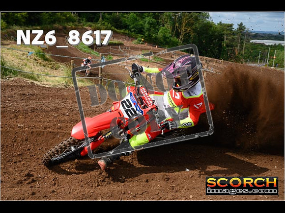 Experts-028