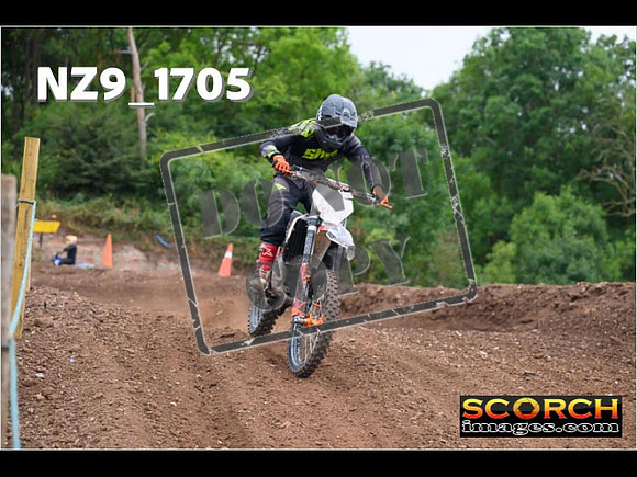 IntersOrange-120