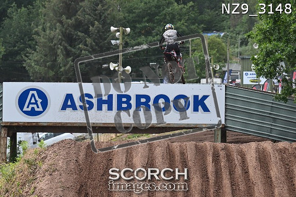 NZ9_3148