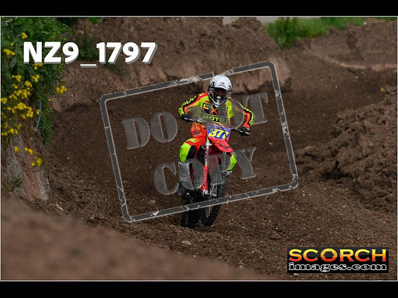Experts-023