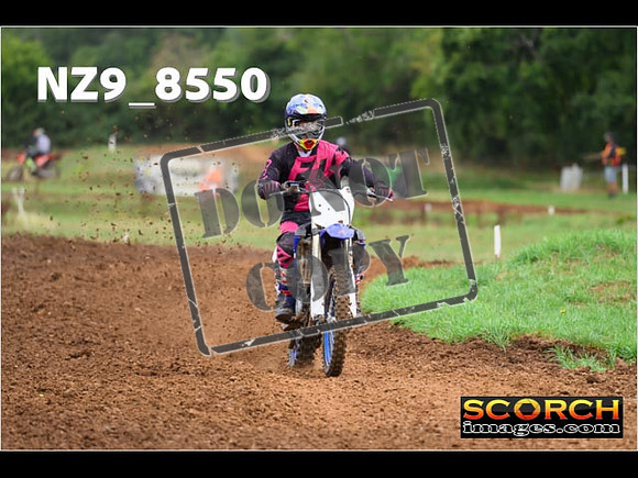 Experts-096