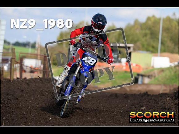Experts-323
