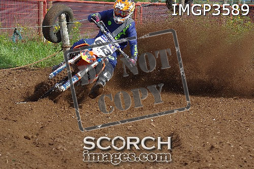 IMGP3589