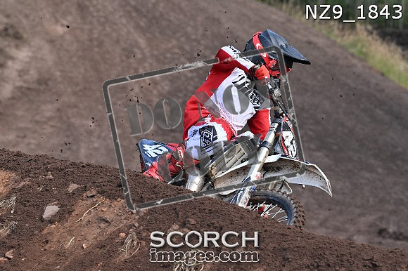 NZ9_1843