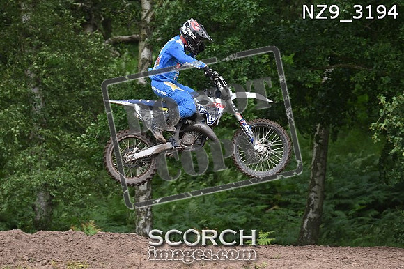 NZ9_3194