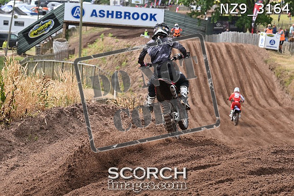NZ9_3164